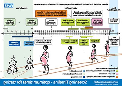 Graviditet - screeningstest. Vurdering af væksten af ​​barnet.