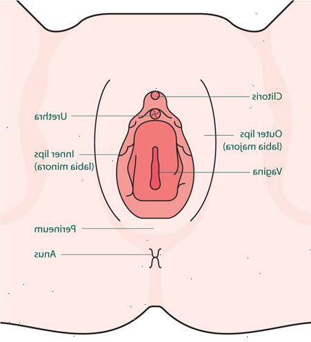 Pruritus vulvae (vulva kløe)